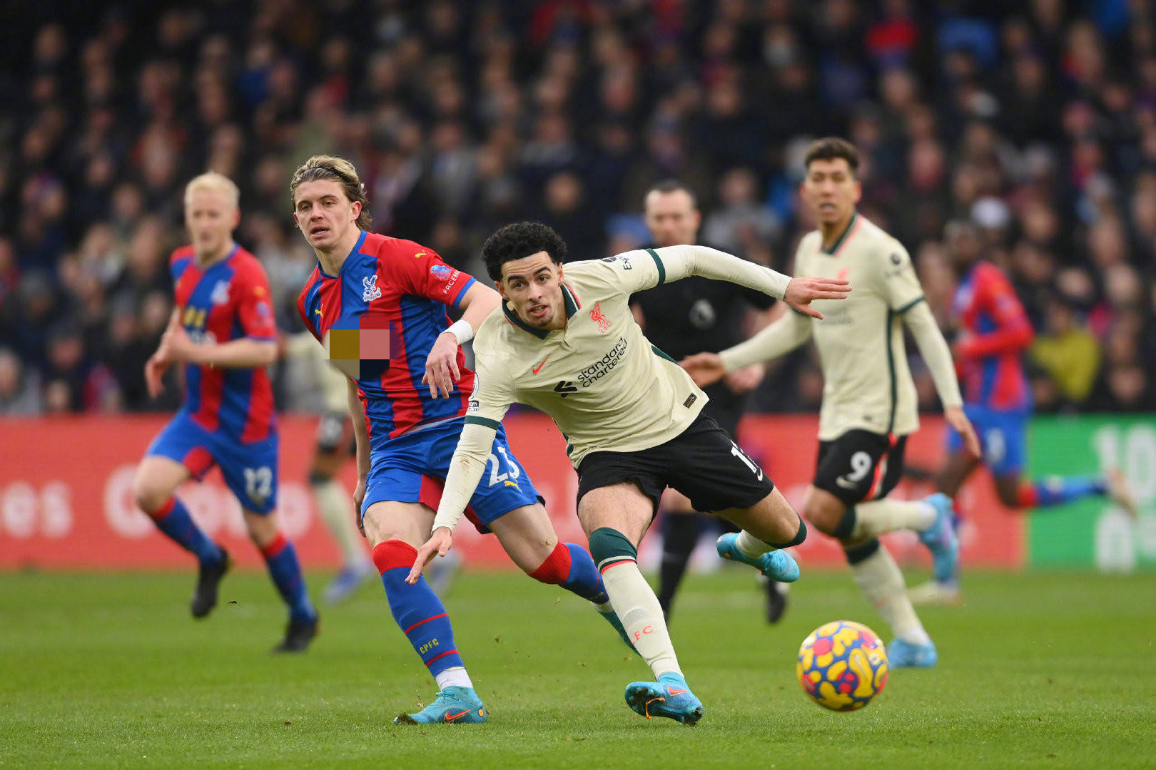 助年轻球员 助年轻球员